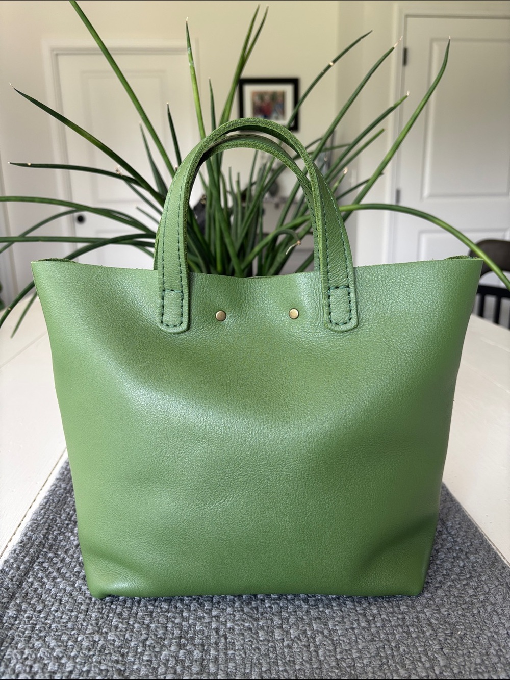 PLG Snap Mini Crossbody Tote in a mystery green - Picture 2 of 7